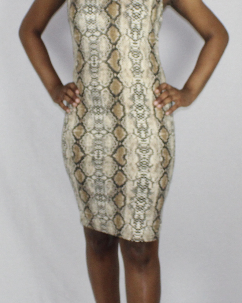 Snake Print Bodycon Dress